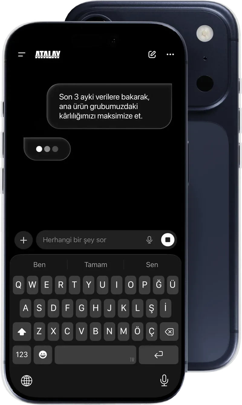 API entegrasyonu — Atalay Tech